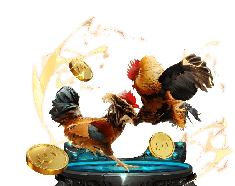 Giới thiệu về điều khoản dịch vụ tại bl555